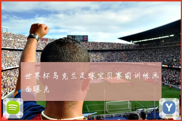 世界杯乌克兰足球宝贝赛前训练画面曝光