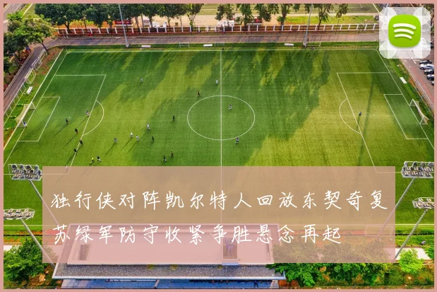 独行侠对阵凯尔特人回放东契奇复苏绿军防守收紧争胜悬念再起