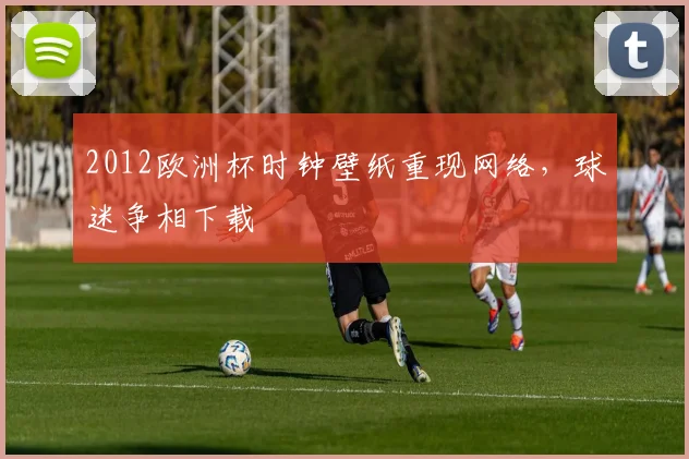 2012欧洲杯时钟壁纸重现网络，球迷争相下载