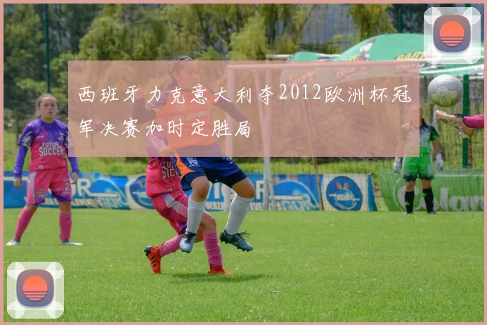 西班牙力克意大利夺2012欧洲杯冠军决赛加时定胜局