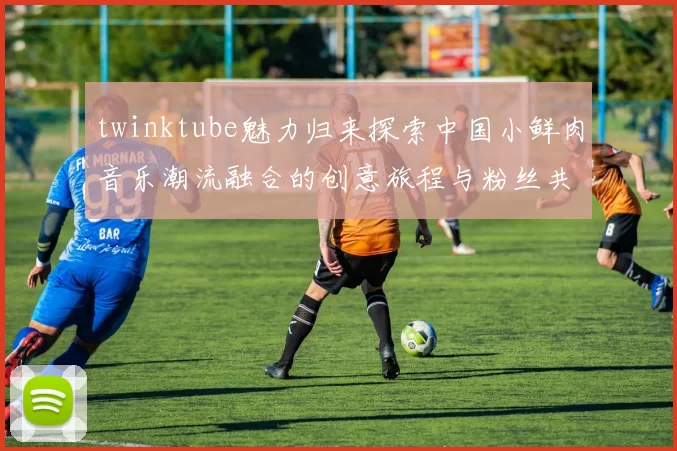 twinktube魅力归来探索中国小鲜肉音乐潮流融合的创意旅程与粉丝共鸣故事追