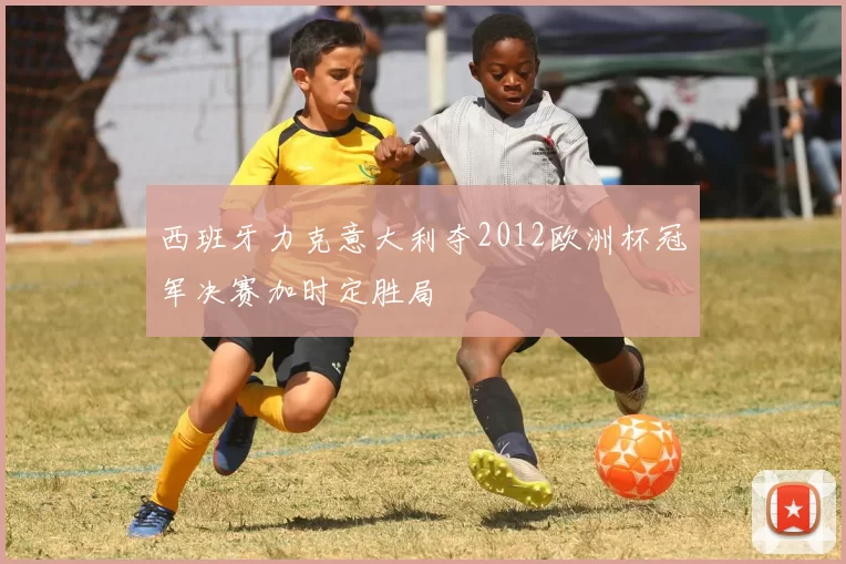 西班牙力克意大利夺2012欧洲杯冠军决赛加时定胜局